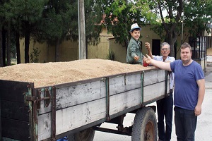 Keşan da Yılın İlk Buğdayı 1 10 TL den Satıldı