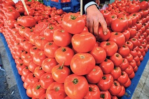 Rusya ya Tarım İhracatı Azaldı