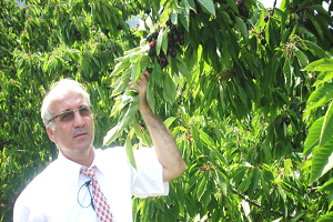 Sülük Üretimini Tüm Yıla Yaydılar