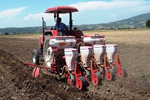 Yer Fıstığında İkinci Ekim Dönemi Başladı