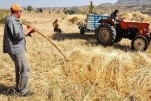 Çiftçi Destek Ödemeleri Ne Zaman Yapılacak