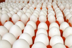 Çin e 7 8 Saatte Süt Yumurta ve Meyve Gidecek