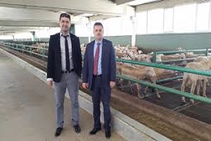 Destekler Meyvesini Veriyor