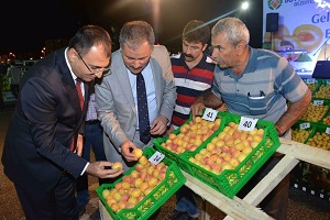 En İyi Yaş Kayısılar Belirlendi