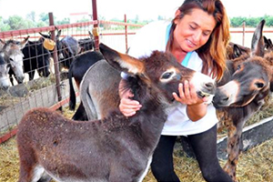 İnternetten Eşek Sütü Satılır Mı Demeyin