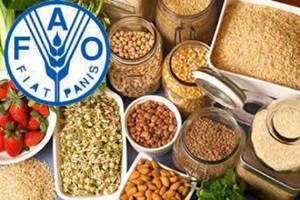 Küresel Gıda Fiyatlarında Son Yılların En Yüksek Artışı