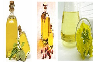 Sahteciliğe Yüzbin Lira Para Cezası