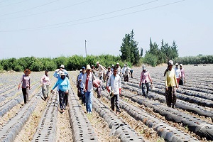 Tarımcılar Unutulmamalı