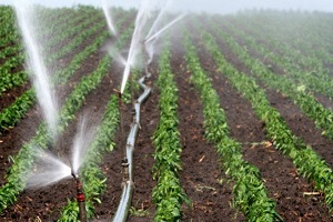 Türkiye nin İlk Besin Teknokenti Açıldı