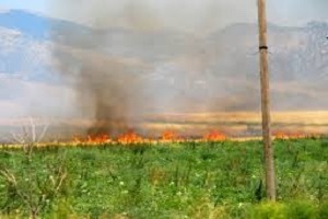 Çiftçilere Anız Yangını Uyarısı