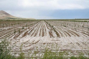 Dolu Yağışı Konya Ovasını Boşalttı