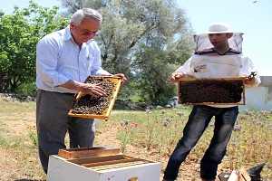 Kovan Arttı Üretim Düştü