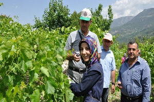 Muz Üreticilerine Nematod Eğitimi