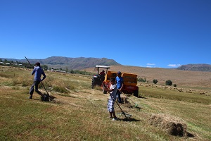 Tekonoloji İnsan Gücünü Pes Ettirdi