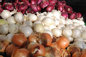 Edirne de Soğan Bereketi