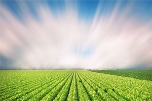 Yeni Fikirlerle Hep Birlikte Geleceğe