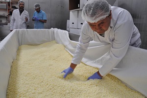 İtalyanlara Taş Çıkartacak Sivas Mozzarella sı Dünyaya Açıldı
