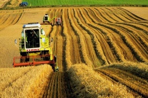 Tarımsal Kredilerin Vade Süreleri Uzatılmalı