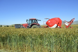 DAP İdaresi nden Silaj Makinası Desteği