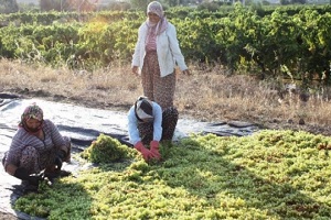 İşçi Ücretlerine Yüzde 5 Zam Yapıldı