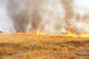 Anız Yakanlara Ceza Geliyor