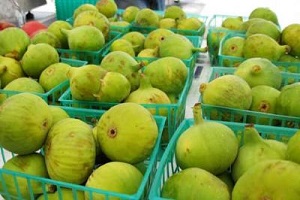 Aydın İnciri Olmasına Dikkat