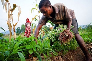 Afrika ya Yapılacak Yatırımın Açılımı Tamamlandı