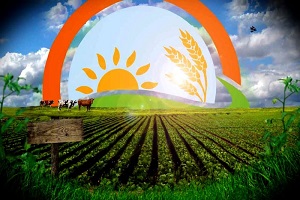 GTHB de Usulsüz Görevlendirmeye İptal