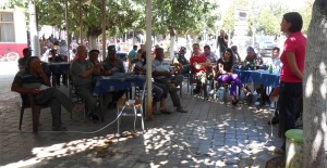 Domates Zararlısı Erken Uyarı Sistemiyle Tespit Edilecek