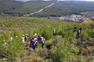İzmir Küllerinden Yeniden Doğdu