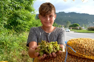 Fındık Toplama Tarihleri Belirlendi