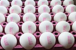 Yumurta İhracatı Şaha Kalktı