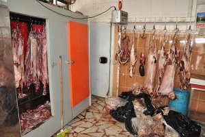 Bin 600 Kilo Et Telef Oldu