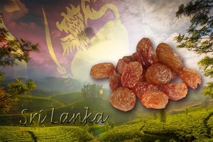 Sri Lanka Türkiye den Üzüm İthal Edecek