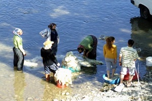 Muşlu Kadınların Yün Yıkama Mesaisi