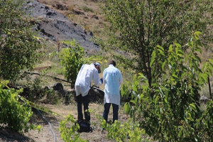 Tarla Kavgası Kanlı Bitti