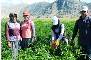 Destekleme için Son Tarih 31 Ekim