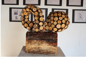 Ölmez Ağacın Sanat Yolculuğu