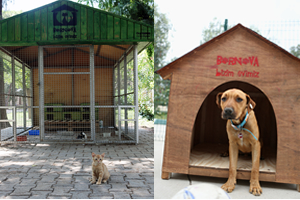 Bornova da Sokaktaki Dostlar İçin Örnek Projeler