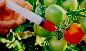 Dünya Bunu Tartışıyor Gerçek Ne