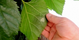 Çiftçinin Çağrısına Kulak Verildi