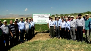 Tıbbi Ve Aromatik Bitki Yetiştiriciliği