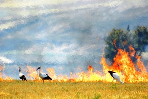 Toprağın Canını Yakmayın