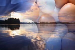 Finlandiyalıların Yumurta Talebi