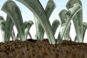 Tarım Girişimcileri İçin TEB den Kredi