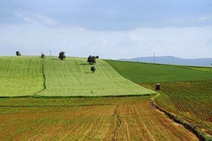 Ziraat Odası Kiralama Girişimine Tepkili