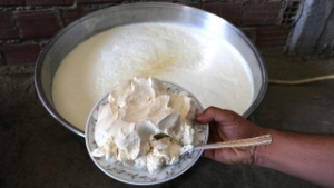 Yanık Yoğurt Geçim Kaynağı Oldu