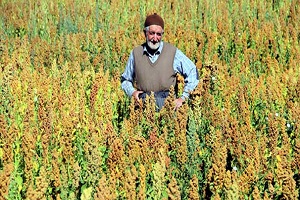 Avrupa da Gördü Avrupa yı Sollayacak