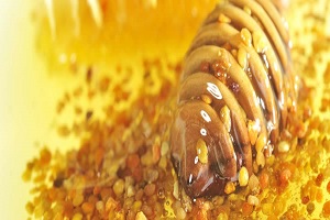 Kestane Balı Üreticisini Sevindirdi