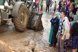 Sel Sekiz Hayvanı Telef Etti